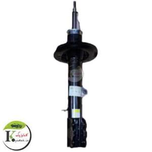 کمک فنر عقب چری و فونیکس