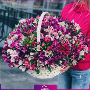 سبد گل آلسترومریا