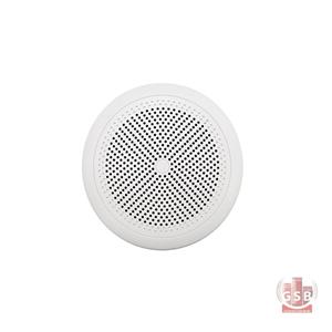 بلندگوی ضد آب سقفی اکلر ecler eIC52MS