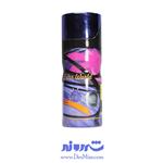 اسپری اینتر ورد ریو rio collection spray enter world