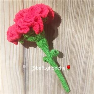 گل دورو میخک