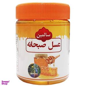 عسل صبحانه سالمین - 500 گرم