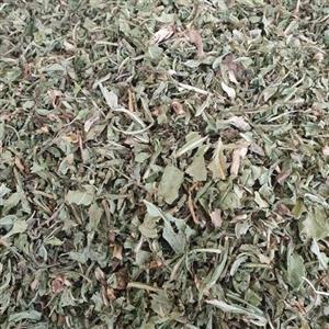 برگ کاسنی - 500 گرم