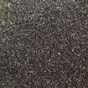بزرک (تخم کتان)پاک شده یک کیلویی تازه کشت محصول مزرعه خودمون تضمینی