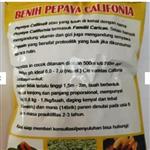 بذر پاپایا  هیبرید  تانزانیا  پر محصول بسته بندی نمونه ده عددی  با بسته بندی مناسب