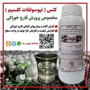 کود مایع کتس ( CaTS ) ترکیب کنترل آفات و افزایش تناژ قارچ خوراکی