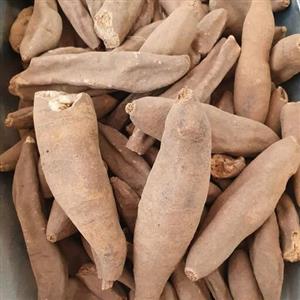 عود الصلیب - 500 گرم