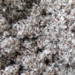 پنبه دانه  قناری و فنچ  پنبه تخم (150 گرمی)