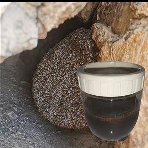 عسل وحشی سیاه صخره