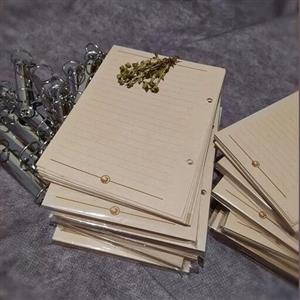 کاغذ کلاسوری مخصوص کلاسور های 16.5 در 12 خودمان،  بسته کاغذ کلاسوری 80 برگ خط دار نخودی رنگ