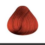کیت رنگ موی مسی بدون آمونیاک زنانه کلینیکkit color CLEANIC