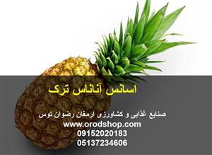 اسانس آناناس ترک