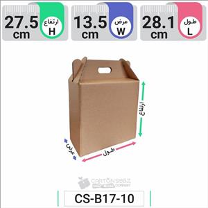 جعبه مدل دار دایکاتی کد CS-B17-10 