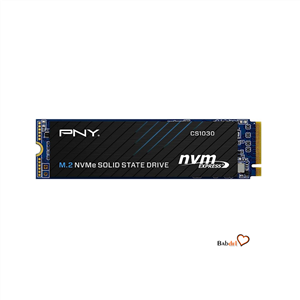 حافظه PNY CS1030 M.2 250GB SSD استوک