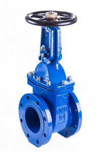 شیر کشویی PN16 فلنج دار F4 محور صعودی (OS&Y) ۸۰mm 