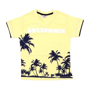 تی شرت پسرانه Awe Summer مدل p18 