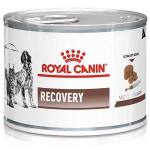 غذای کنسرو درمانی سگ و گربه رویال کنین مدل ریکاوری ROYAL CANIN RECOVERY 195 G