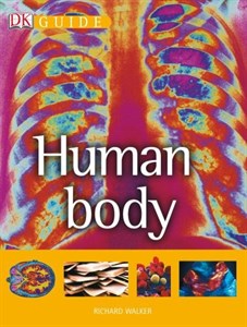 دانلود کتاب Human Body (Dk Guide)