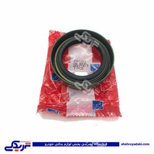 کاسه نمد پینیون آرژانتینی پیکان CBS 1481 ( عمده )