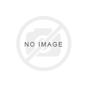 نیسان جوک پلوس کامل RAYO R-671 ( عمده ) 