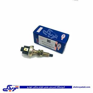 مهره استپ ترمز دو مداره پیکان دینا پارت 1101046 