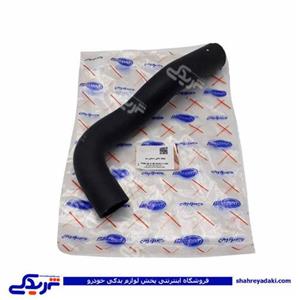 شیلنگ رادیات بالا تیبا دینا پارت 2502001