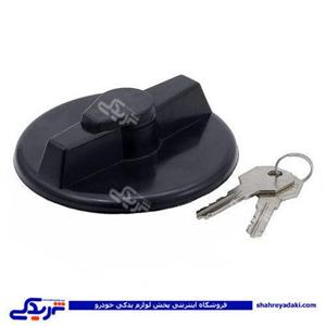 درب باک بزرگ پیکان دینا پارت 1105033 