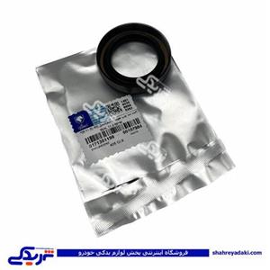 پژو کاسه نمد پلوس 405 بزرگ ایساکو 99 0171301199 ( عمده )