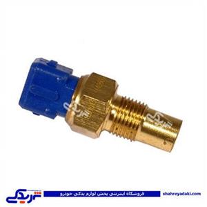 پژو مهره آب 405 تک فیش آبی ایساکو 920101099 