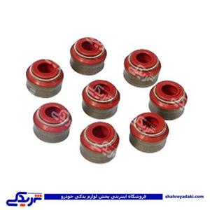 پژو لاستیک سوپاپ 206 تیپ 2اورجینال دینا پارت 1602038 