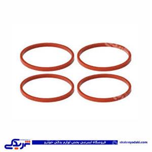 پژو اورینگ منیفولد 206 دریچه هوا تیپ 5 دینا پارت 1602305 ( عمده )