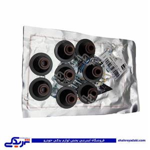 پراید لاستیک سوپاپ یورو 4 ویژن sv0135a00 