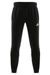 شلوار اسپورت مردانه adidas TIRO23 CB TRPNT