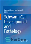 دانلود کتاب Schwann Cell Development and Pathology – رشد و آسیب شناسی سلول شوان