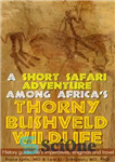 دانلود کتاب A short safari adventure among Africa’s thorny bushveld wildlife: History guide, life’s imperatives, enigmas and travel – یک...