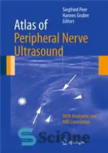 دانلود کتاب Atlas of Peripheral Nerve Ultrasound: With Anatomic and MRI Correlation اطلس سونوگرافی اعصاب محیطی: با همبستگی آناتومیک... 