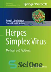 دانلود کتاب Herpes Simplex Virus: Methods and Protocols – ویروس هرپس سیمپلکس: روش ها و پروتکل ها