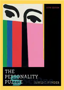دانلود کتاب The Personality Puzzle – پازل شخصیت