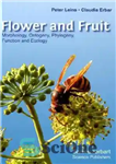 دانلود کتاب Flower and Fruit: Morphology, Ontogeny, Phylogeny, Function and Ecology – گل و میوه: مورفولوژی، آنتوژن، فیلوژنی، عملکرد و...