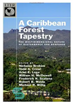 دانلود کتاب A Caribbean forest tapestry : the multidimensional nature of disturbance and response – ملیله جنگلی کارائیب: ماهیت چند...