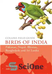 دانلود کتاب Collins Field Guide: Birds of India, Pakistan, Nepal, Bhutan, Bangladesh, Sri Lanka – راهنمای میدانی کالینز: پرندگان هند،...