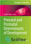 دانلود کتاب Prenatal and Postnatal Determinants of Development – عوامل تعیین کننده رشد قبل از تولد و پس از تولد