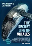 دانلود کتاب The Secret Life of Whales: A Marine Biologist Reveals All – زندگی مخفی نهنگ ها: یک زیست شناس...