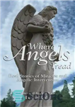 دانلود کتاب Where Angels Tread: Real Stories of Miracles and Angelic Intervention – جایی که فرشتگان قدم می گذارند: داستان...