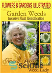 دانلود کتاب Flowers and Gardens Illustrated, Vol 1: Garden Weeds – Invasive Plant Identification – گل‌ها و باغ‌های مصور، جلد...