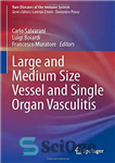 دانلود کتاب Large and Medium Size Vessel and Single Organ Vasculitis (Rare Diseases of the Immune System) – واسکولیت عروق...