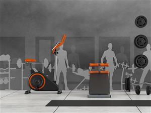 کاغذ دیواری باشگاه بدنسازی M10131000