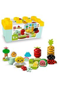 لگو ® DUPLO® First Organic Garden 10984 - مجموعه سازه خلاقانه اسباب بازی برای پیش دبستانی (43 قطعه) 