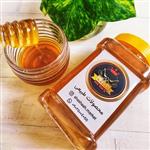 عسل طبیعی چهل گیاه 2 کیلویی اعلا شعشعه (عسل گرما ندیده شیراز)