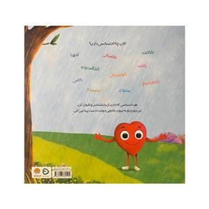 کتاب خرگوش خانم و کت جادویی (گلاسه) - اثر بکی کامینگز - نشر برکه آبی